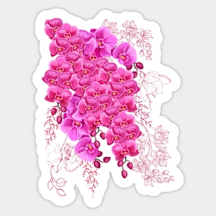 Orchid Burst Sticker